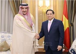 Thủ tướng Chính phủ Phạm Minh Chính tiếp lãnh đạo các tập đoàn, quỹ đầu tư lớn của Saudi Arabia